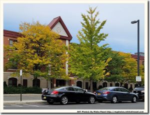 Filename=Frame_20201010_144903_sm.jpg
Filesize=1156KiB
Dimensions=1600x1224
Date added=Oct 12, 2020 Frame_20201010_144903_sm.jpg