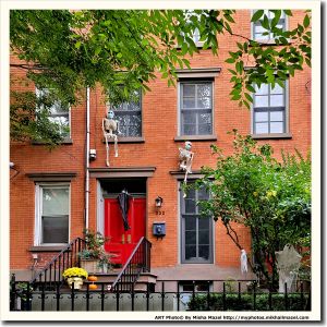 Filename=Frame_20201010_164821_sm.jpg
Filesize=1176KiB
Dimensions=1200x1200
Date added=Oct 13, 2020 Frame_20201010_164821_sm.jpg