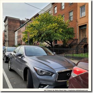 Filename=Frame_20201010_165241_sm.jpg
Filesize=944KiB
Dimensions=1200x1200
Date added=Oct 13, 2020 Frame_20201010_165241_sm.jpg