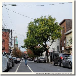 Filename=Frame_20201010_165845_sm.jpg
Filesize=825KiB
Dimensions=1200x1200
Date added=Oct 12, 2020 Frame_20201010_165845_sm.jpg