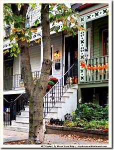 Filename=Frame_20201010_171352_sm.jpg
Filesize=1413KiB
Dimensions=1224x1600
Date added=Oct 13, 2020 Frame_20201010_171352_sm.jpg