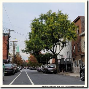 Filename=Frame_20201010_173335_sm.jpg
Filesize=837KiB
Dimensions=1200x1200
Date added=Oct 12, 2020 Frame_20201010_173335_sm.jpg