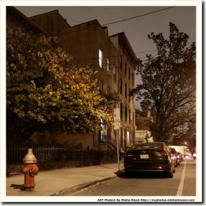 Filename=Frame_20201011_191056_sm.jpg
Filesize=851KiB
Dimensions=1200x1200
Date added=Oct 12, 2020 Frame_20201011_191056_sm.jpg