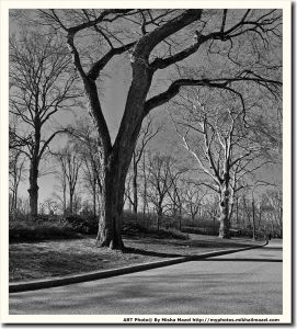 Filename=Frame_5BGroup-05D-SAM_5793_SAM_5799-7-images_0002_bw_web__.jpg
Filesize=1694KiB
Dimensions=1629x1800
Date added=Apr 17, 2018 Frame_5BGroup-05D-SAM_5793_SAM_5799-7-images_0002_bw_web__.jpg