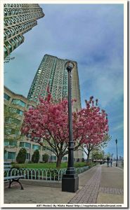 Filename=Frame_5BGroup-05D-SAM_7936_SAM_7941-6-images_0000_web.jpg
Filesize=1520KiB
Dimensions=1239x2009
Date added=Jan 12, 2019 Frame_5BGroup-05D-SAM_7936_SAM_7941-6-images_0000_web.jpg