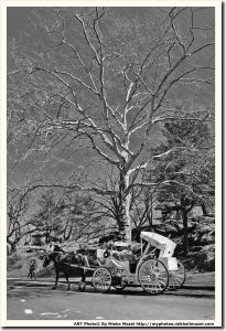 Filename=Frame_SAM_5589_bw_3d_web~0.jpg
Filesize=1734KiB
Dimensions=1232x1800
Date added=Apr 17, 2018 Frame_SAM_5589_bw_3d_web~0.jpg