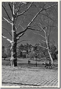 Filename=Frame_SAM_5626_bw_dark_sky_web~0.jpg
Filesize=1728KiB
Dimensions=1232x1800
Date added=Apr 17, 2018 Frame_SAM_5626_bw_dark_sky_web~0.jpg