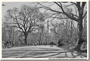 Filename=Frame_SAM_5667---Copy_bw_1_web~0.jpg
Filesize=1632KiB
Dimensions=1800x1232
Date added=Apr 17, 2018 Frame_SAM_5667---Copy_bw_1_web~0.jpg