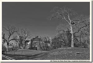 Filename=Frame_SAM_5845---Copy_web~0.jpg
Filesize=1356KiB
Dimensions=1800x1232
Date added=Apr 17, 2018 Frame_SAM_5845---Copy_web~0.jpg