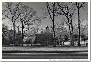 Filename=Frame_SAM_5977---Copy_bw_crop_web~0.jpg
Filesize=1684KiB
Dimensions=1800x1232
Date added=Apr 17, 2018 Frame_SAM_5977---Copy_bw_crop_web~0.jpg